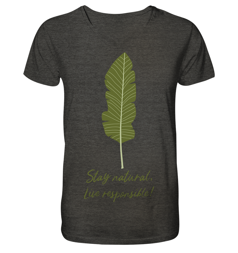 Nachhaltiges T-Shirt V-Ausschnitt Herren | Bio & fair | Natural (Dunkelgrau meliert) | Phaedera UG