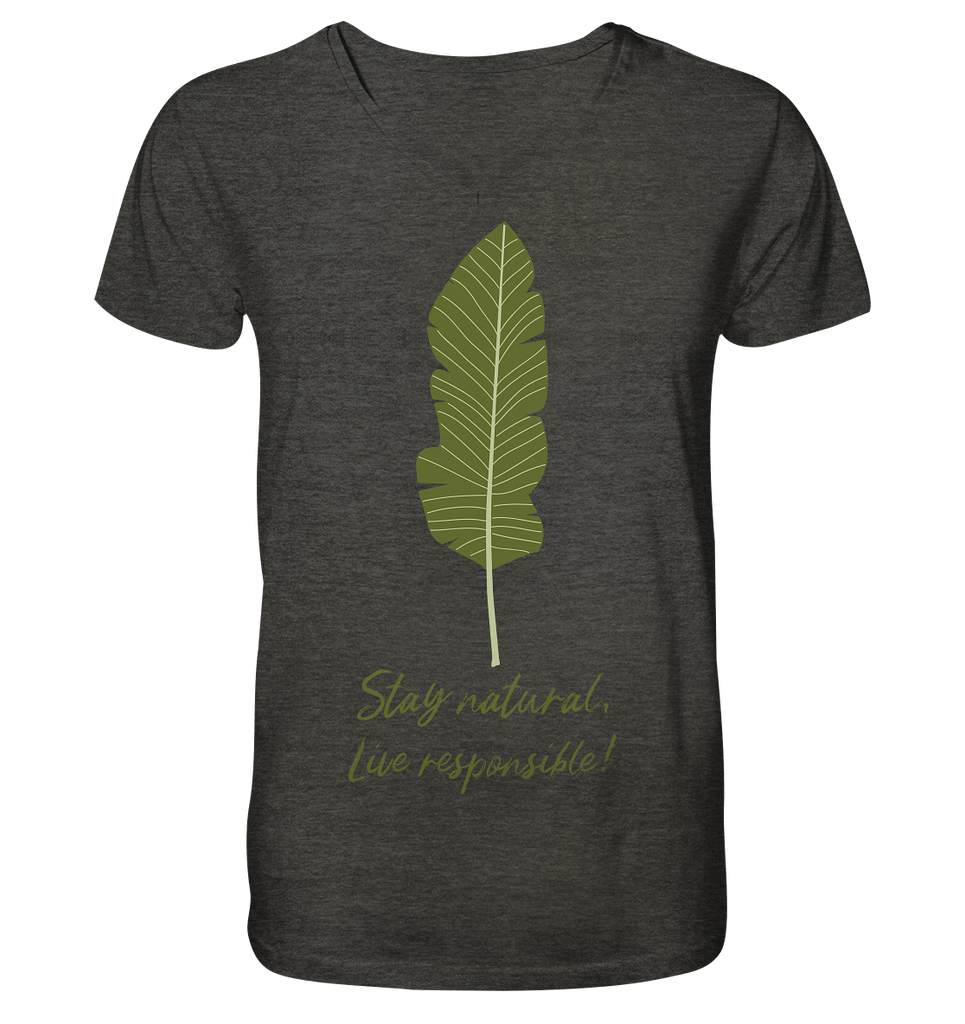 Nachhaltiges T-Shirt V-Ausschnitt Herren | bio, vegan | Natural (Dunkelgrau meliert) | Phaedera UG