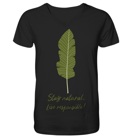 Nachhaltiges T-Shirt V-Ausschnitt Herren | Bio & fair | Natural (Schwarz) | Phaedera UG