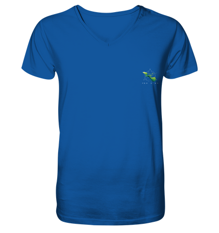 Nachhaltiges T-Shirt V-Ausschnitt Herren | bio & vegan | Basics (Königsblau) | Phaedera UG