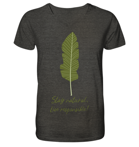 Nachhaltiges T-Shirt V-Ausschnitt Herren | bio, vegan | Natural (Dunkelgrau meliert) | Phaedera UG