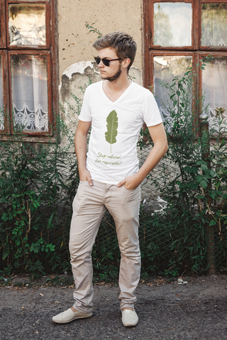 Nachhaltiges T-Shirt V-Ausschnitt Herren | bio, vegan | Natural () | Phaedera UG